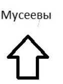 Мусеевы