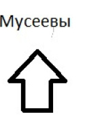 Мусеевы